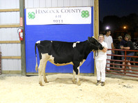 Photo Gallery: 4-H Dairy