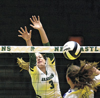 Volleyball ends season at sectional semifinal