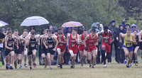 County runners end season in rainy Shelbyville