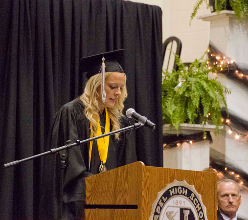 2014 Lapel Graduation