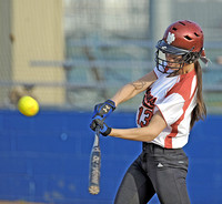 High expectations abound for county???s softball teams
