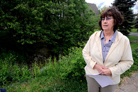 Polluted ditch worries neighbors