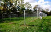 New fenced area has gone to the dogs