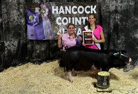 Hancock County 4-H fair winners - Swine