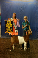 Photo Gallery - 4-H Goats