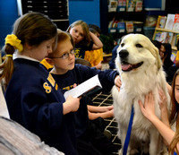 Pet project proves popular in classroom