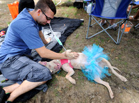 Event offers low-cost care, adoptions, animal advocacy