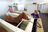 Father-daughter team prepares show animals for ring at ranch