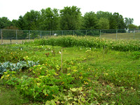 Space available in community garden