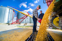 Farmers - Summer storms took toll on corn crop