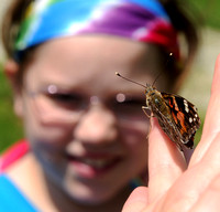 Second-graders learn lessons from butterflies
