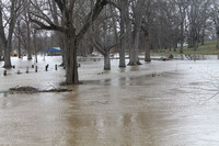 Soggy winter leaves park flooded