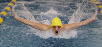 Cougars swim past Dragons in county competition