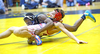 Red Tide Rising - Dragon wrestlers rack up 4 sectional titles