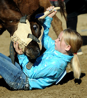 Animal magnetism - Rodeo comes to Hancock County