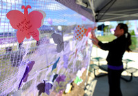 March for Babies a time for remembrance, celebration