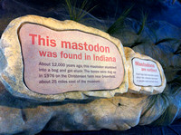 Mastodon-sized legacy