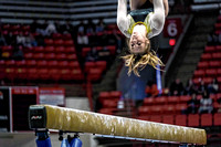 STRONG FINISH: Carpenter places third in state vault competition