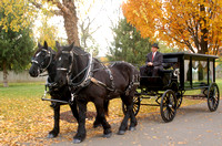 Carriage service finds niche in funerals