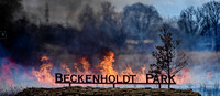 RENEWAL BY FIRE: A controlled burn in city park will help rejuvenate its prairie flora