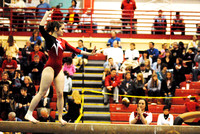 New Palestine gymnasts set school record at sectional