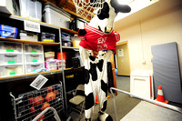 Local church becomes Chick-fil-A distribution point; proceeds fund local nonprofits