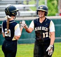 Display of offense: Marauders bats stay hot, roll to sectional win