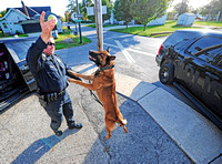 Youngster raises cash for K-9