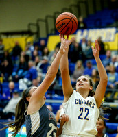 Junior’s big game not enough for Cougars in defeat