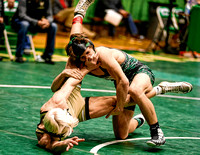 Pendleton Heights Brown advances to state finals