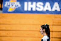 Gymnast Zehr places in top 20 at state