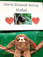 Sloth adoption shows the compassion of children