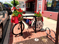 Bikes in Bloom invite cyclists to bike downtown