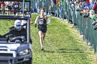 Combs runs to third place at state