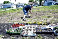 Growth spurts: Church hopes garden will supplement pantry, meal serving