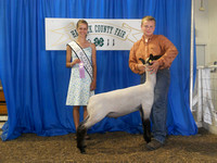 Photo Gallery 2: 4-H Sheep Show
