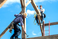 BARN RAISING: Amish crew rebuilds century-old barn on Charlottesville farm