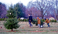 CHOICE CUTS: Tree farms buzz with with heightened demand and limited supply