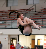 Carrying On The Tradition: Cougars' Crouch wins HHC diving championship
