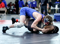 Moving on: Dragons, Cougars, Royals push through combined 21 wrestlers to regional