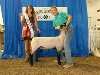 Photo Gallery 4:4-H Sheep Show