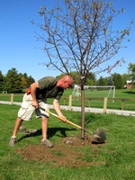 Tree planting serves dual purpose