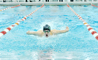 Arabian boys swimming fourth, wins five events