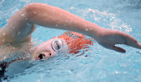 Freshman helps Mt. Vernon swimmers finish third