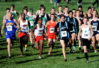 XC Preview -  Eagleson to lead on and off the course