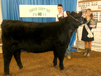 Photo Gallery 2: 4-H Beef Show