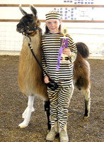 Photo Gallery: 4-H Llama Costume