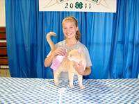 Photo Gallery: 4-H Cat Show