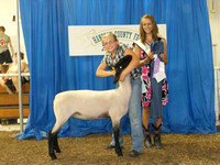 Photo Gallery 3: 4-H Sheep Show