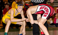 Cougars rule conference mat